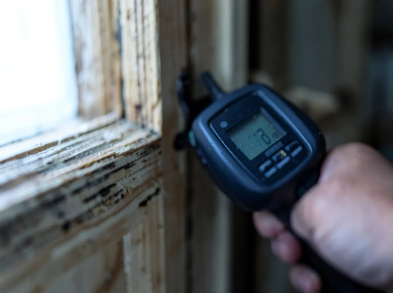 Moisture Inspection And Documentation in Hargill, TX